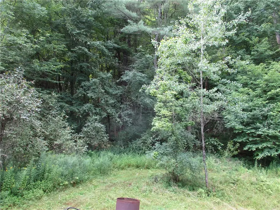 318 Shumway Hill Road, Guilford, NY 13780 - #2