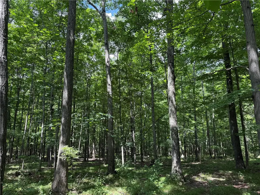 00 Longwell Road, Hammondsport, NY 14840 - #3