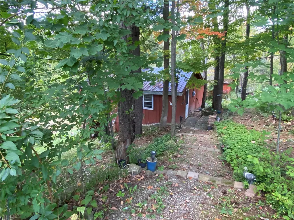 11035 Schwingle Road, Prattsburgh, NY 14873 - #1