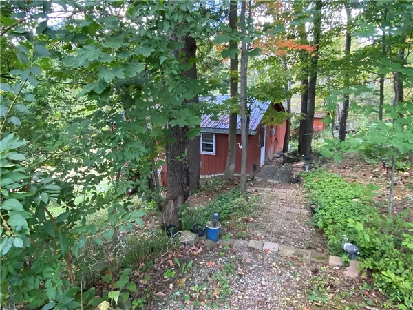 11035 Schwingle Road, Prattsburgh, NY 14873