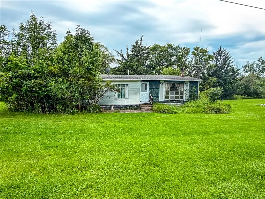 5564 Turkey Hill Road, Conesus, NY 14435 - #1