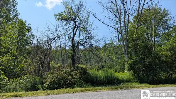 Beech Tree Road, West Valley, NY 14171