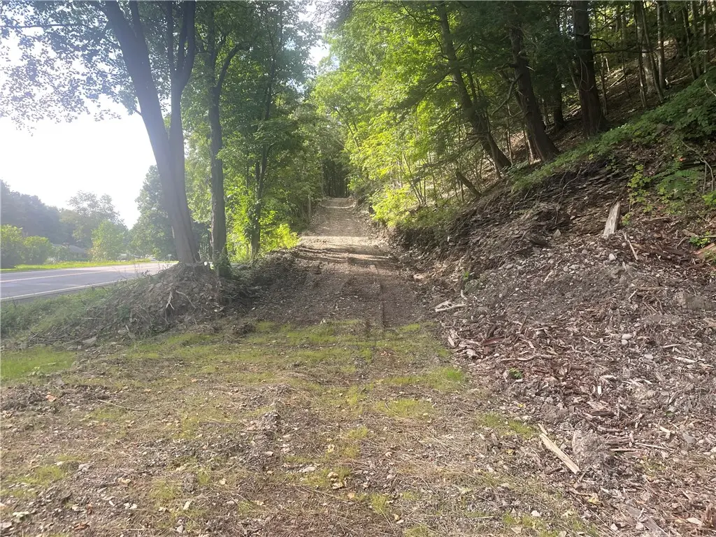 County Highway 35, Milford, NY 13807 - #1