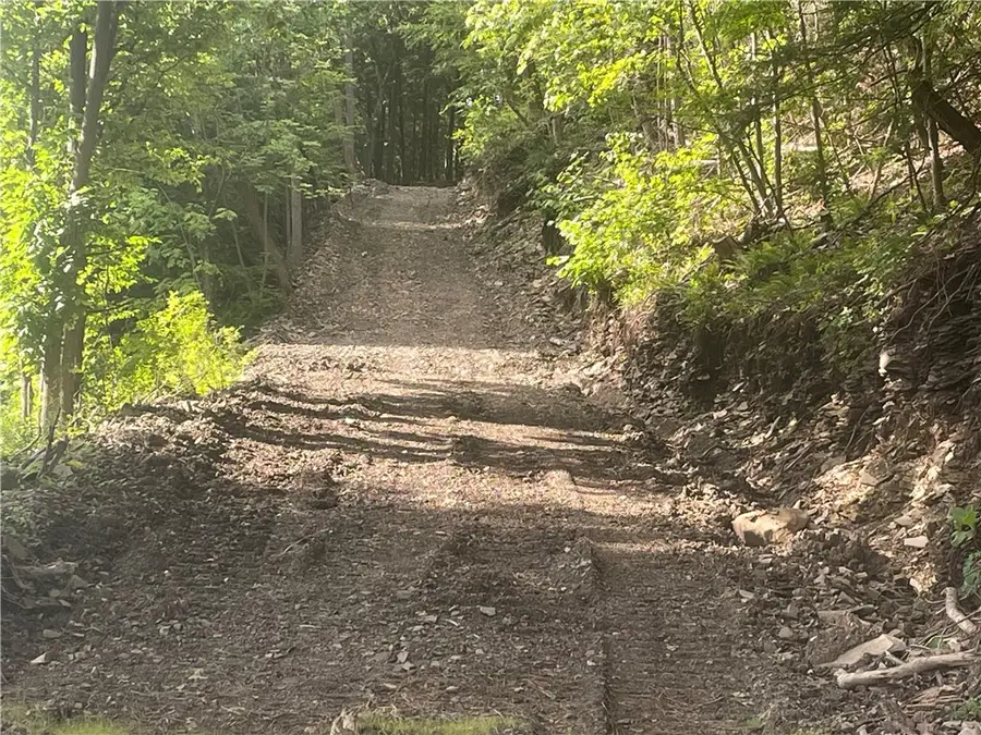 County Highway 35, Milford, NY 13807 - #2