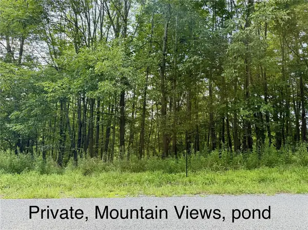Fiddlers Elbow Road, Margaretville, NY 12455