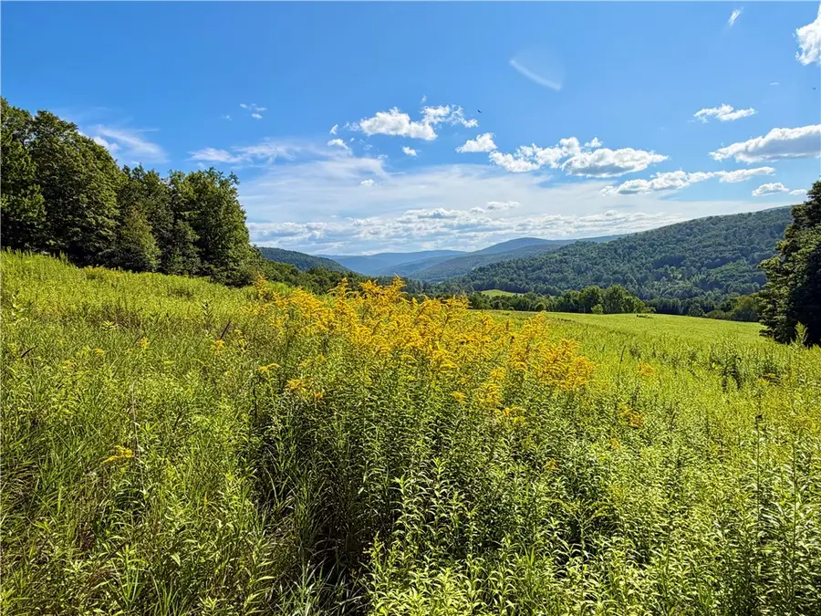 Fiddlers Elbow Road, Margaretville, NY 12455 - #3