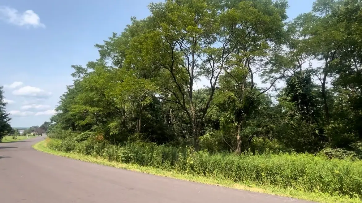 Cecil Keane Road, Brooktondale, NY 14817 - #1