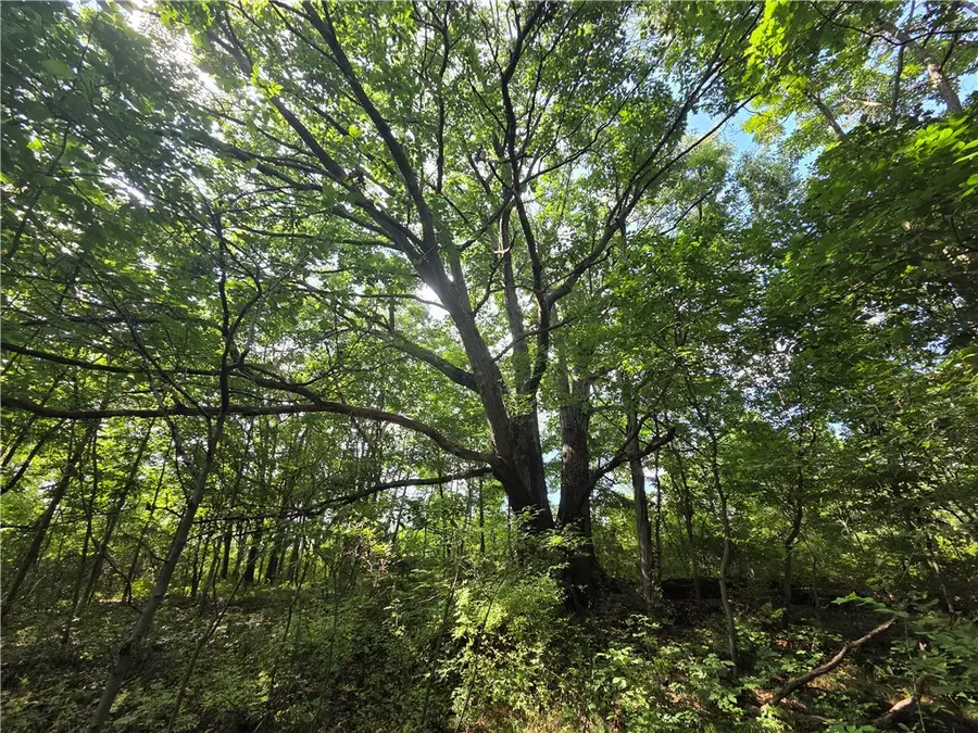 Bunnell Road, Waverly, NY 14892 - #3