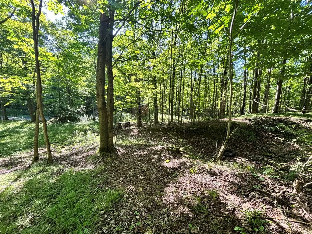 6952 Canadice Hill Road, Springwater, NY 14560 - #1