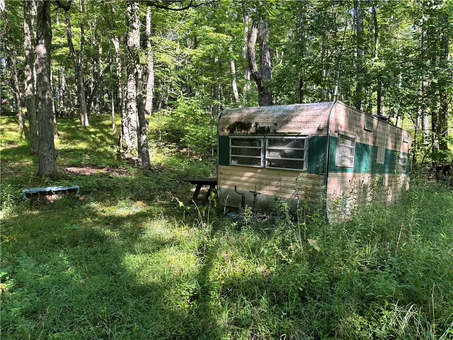 6952 Canadice Hill Road, Springwater, NY 14560 - #2