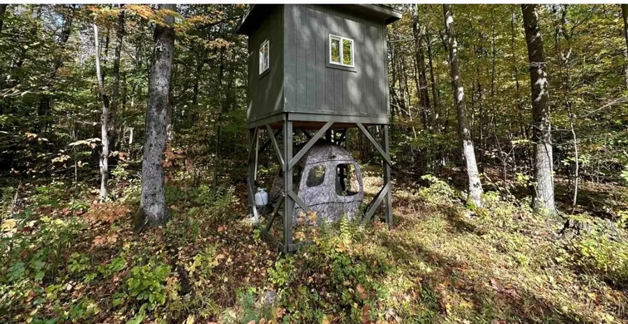 8248 Gallagher Road, Prattsburgh, NY 14873 - #3