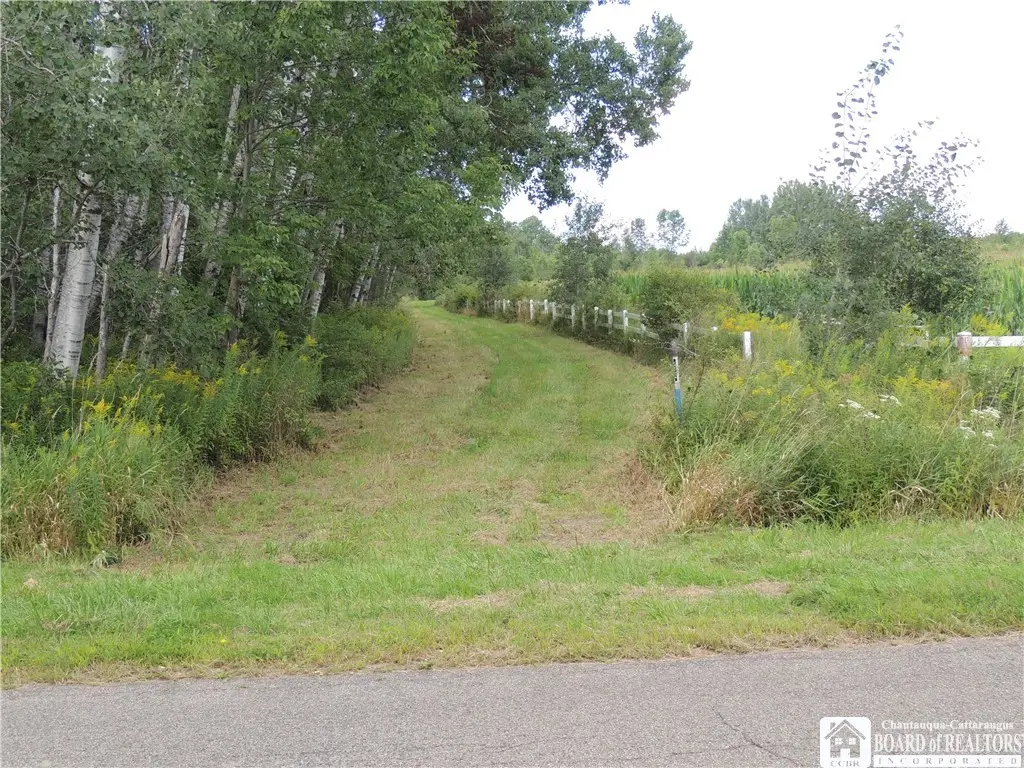 Mead Road N, Lakewood, NY 14750 - #1