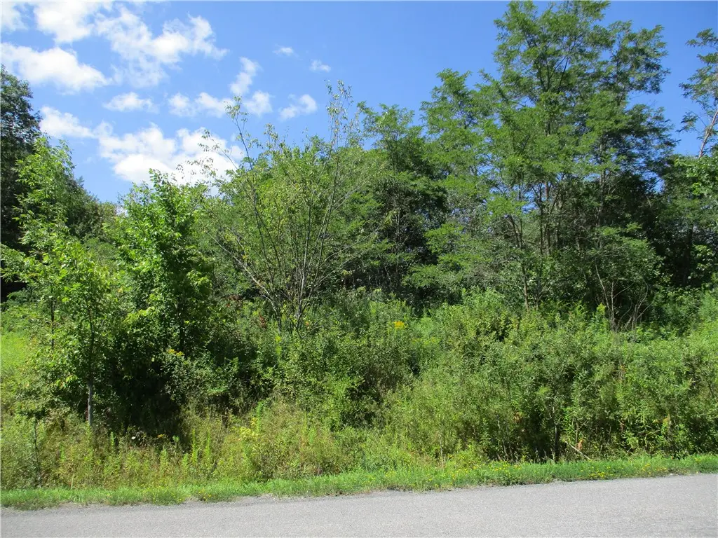 0 Daniels Road, South Plymouth, NY 13844 - #1