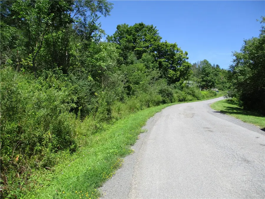 0 Daniels Road, South Plymouth, NY 13844 - #3