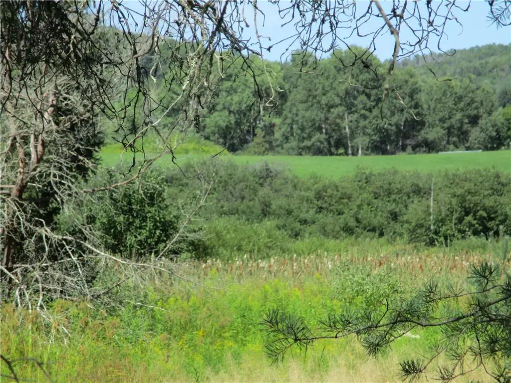 Lot 1 State Route 80, Smyrna, NY 13464 - #1