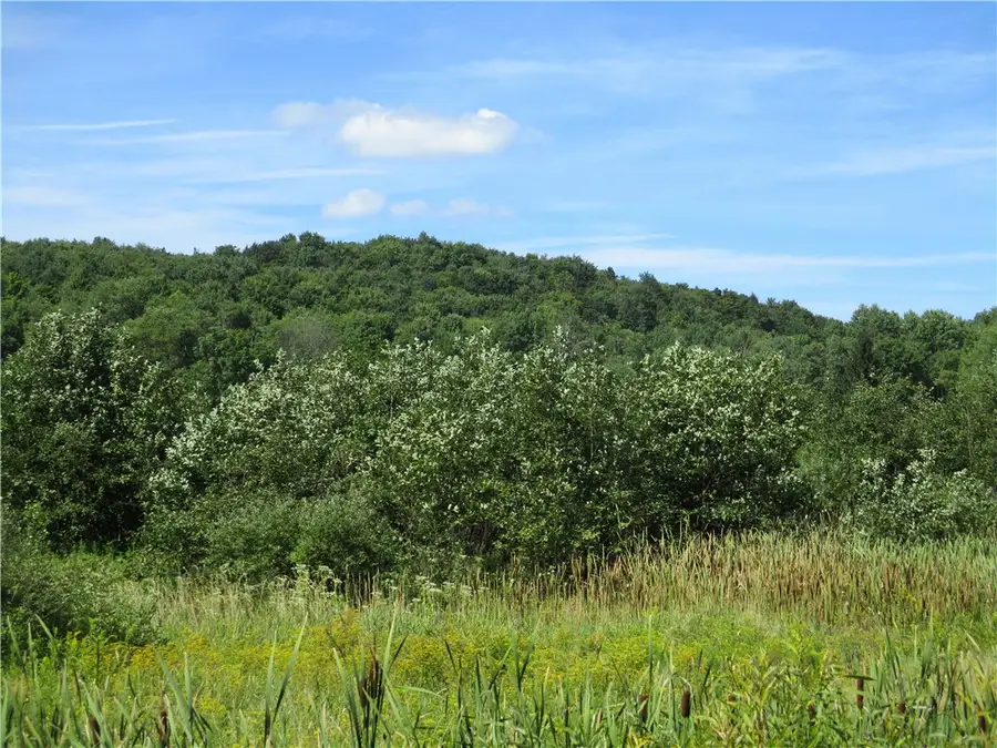 Lot 1 State Route 80, Smyrna, NY 13464 - #3