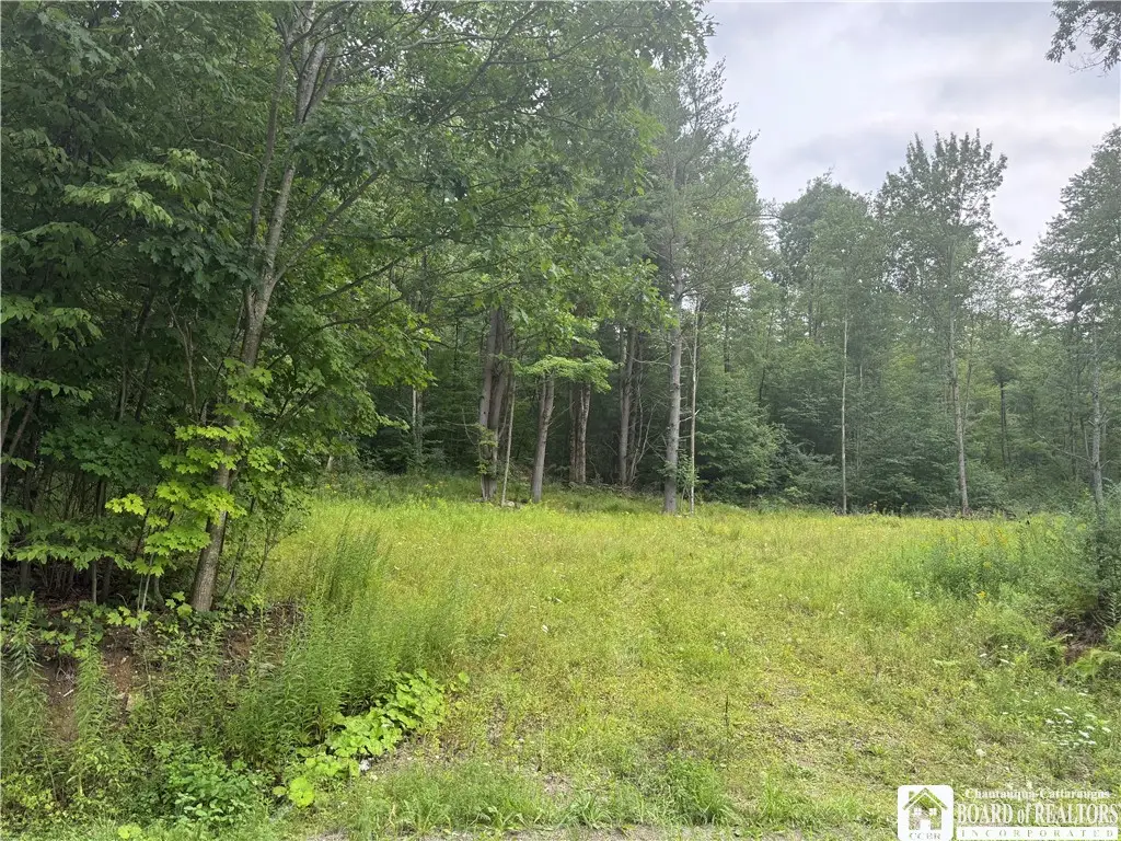 Morgan Hollow Road, Allegany, NY 14706 - #1