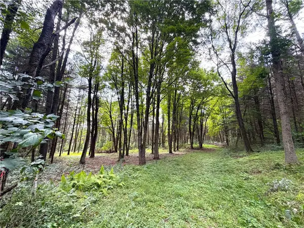2 Dutton, Cuba, NY 14727
