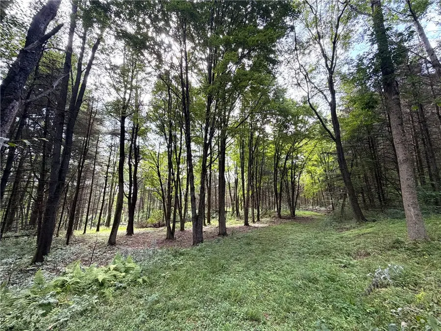 2 Dutton, Cuba, NY 14727 - #3