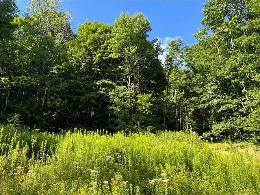Old Seventy Six Road, Brooktondale, NY 14817 - #2