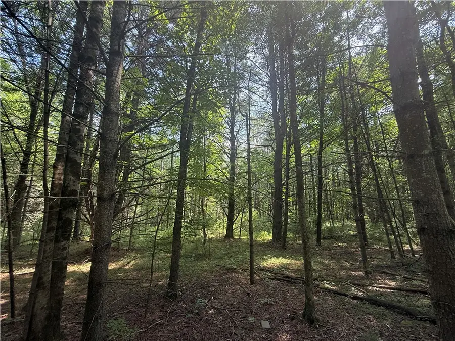 W Whitcomb Road, Barton, NY 13734 - #3