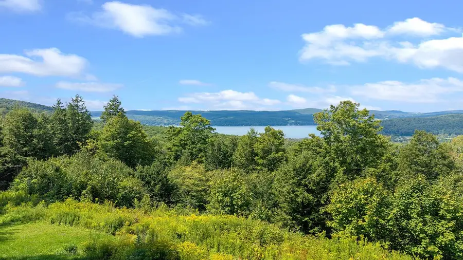 386 Springfield Hill Road, Cooperstown, NY 13326 - #3