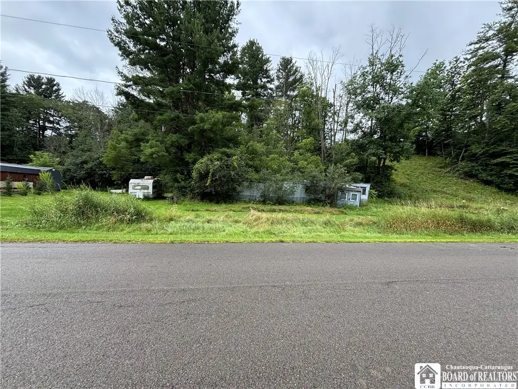 Back River Road, Belmont, NY 14813 - #1
