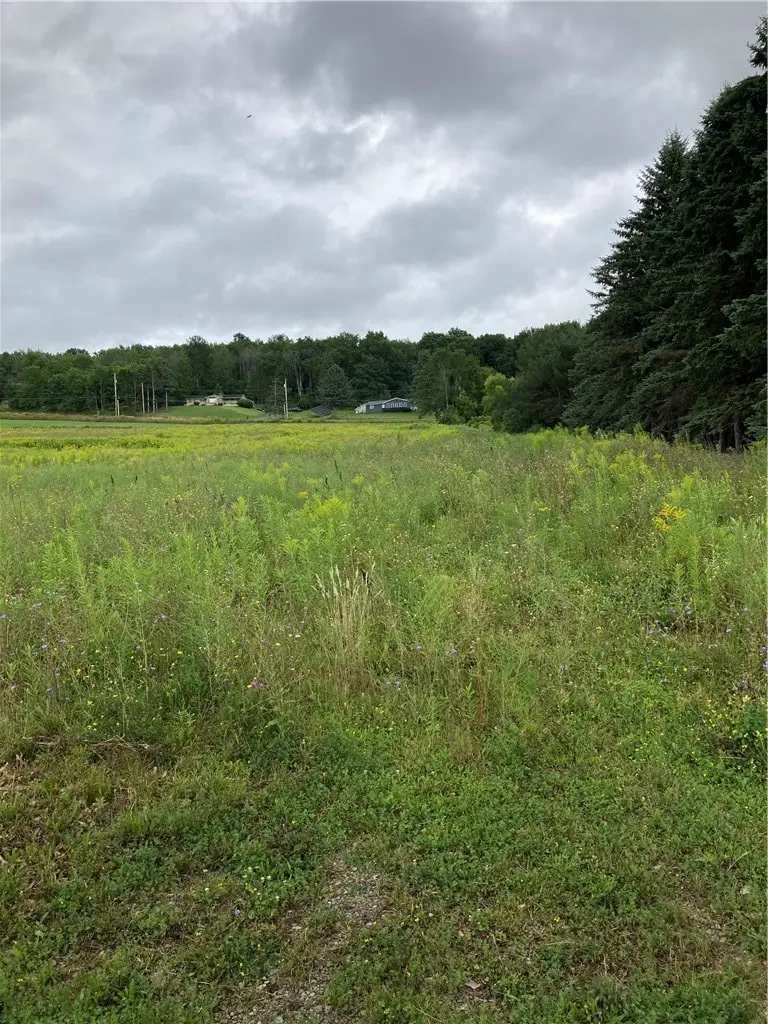 9027 Schuster Rd, Dansville, NY 14437 - #3