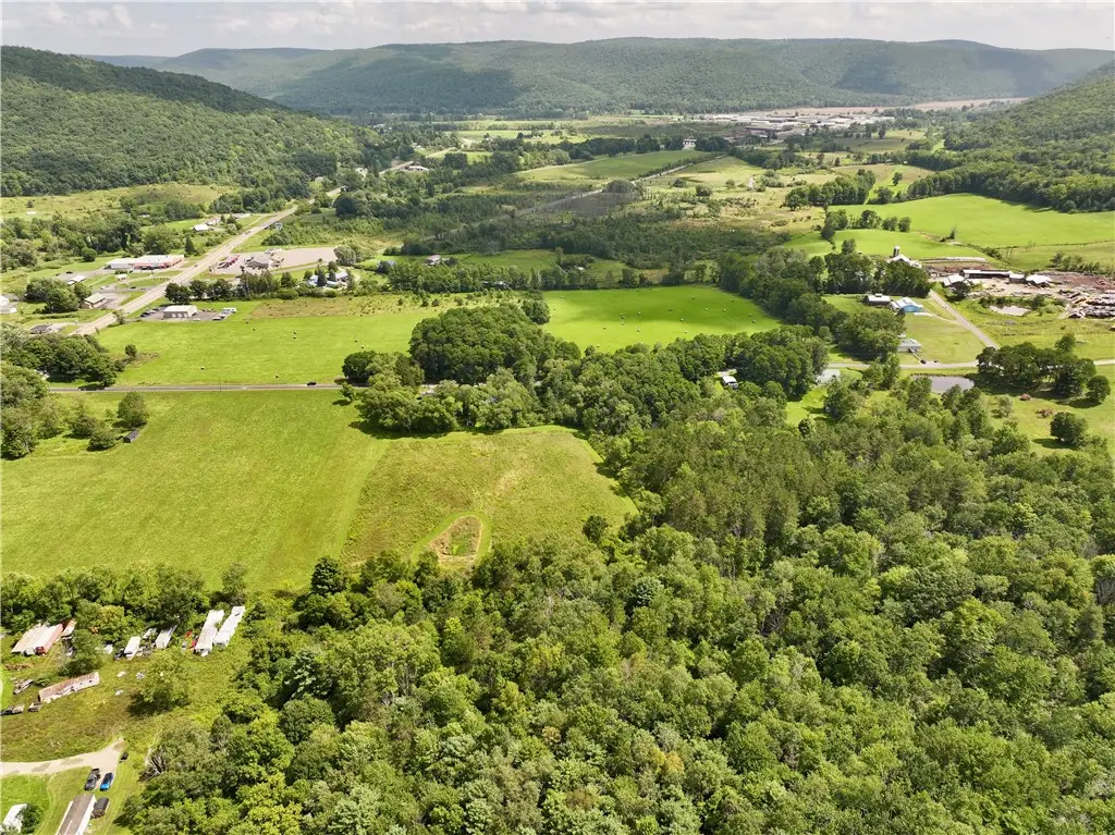 00 Conkrite Rd, Cayuta, NY 14824 - #1