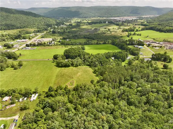 00 Conkrite Rd, Cayuta, NY 14824