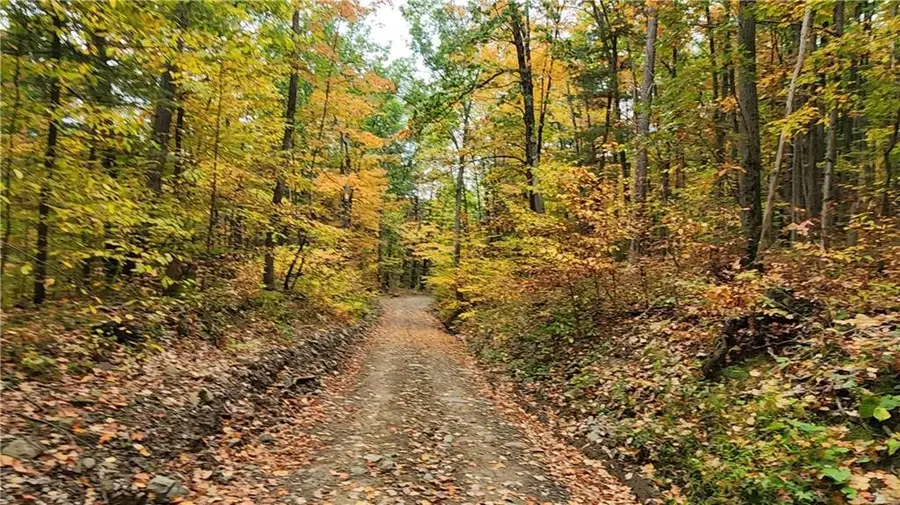 Hanyon Road, Canisteo, NY 14823 - #3