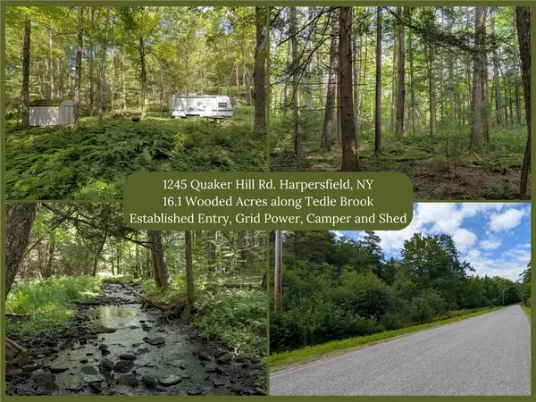 1245 Quaker Hill Road, Jefferson, NY 12093
