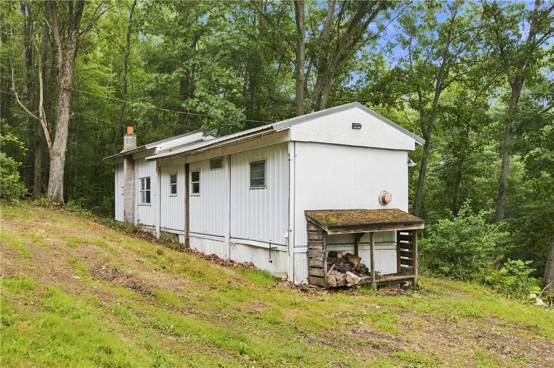 4862 Decamp Road, Dundee, NY 14837 - #1