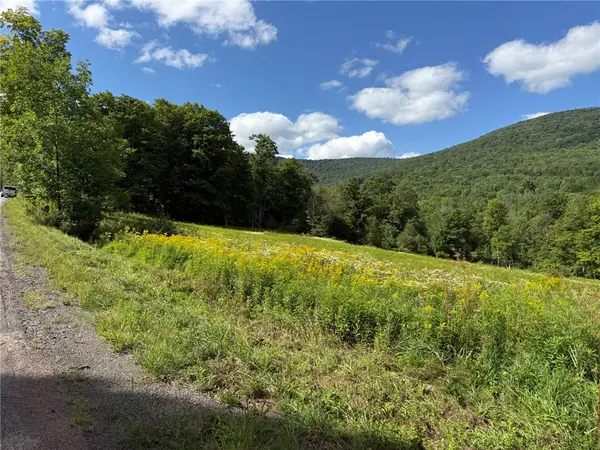 0 Lower Meeker Hollow Run, Roxbury, NY 12474