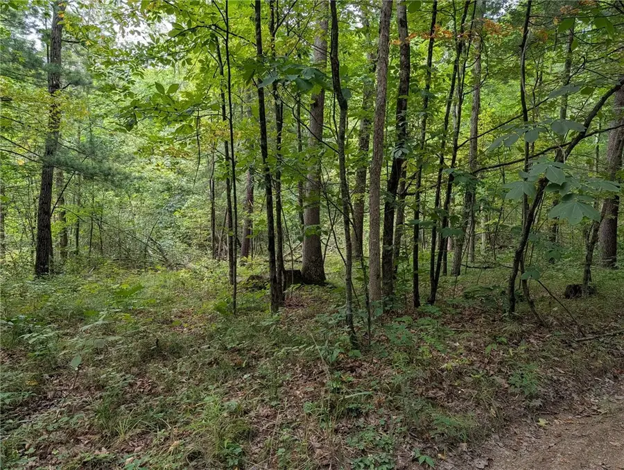 Dug Road, Elmira, NY 14901 - #3