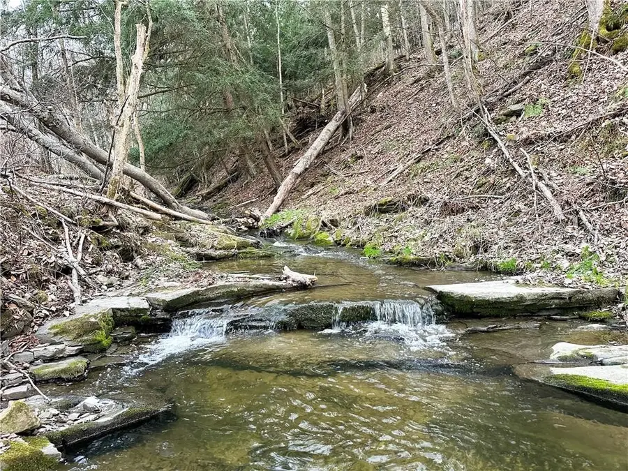 Lot 10 Brennan Road, Addison, NY 14801 - #2
