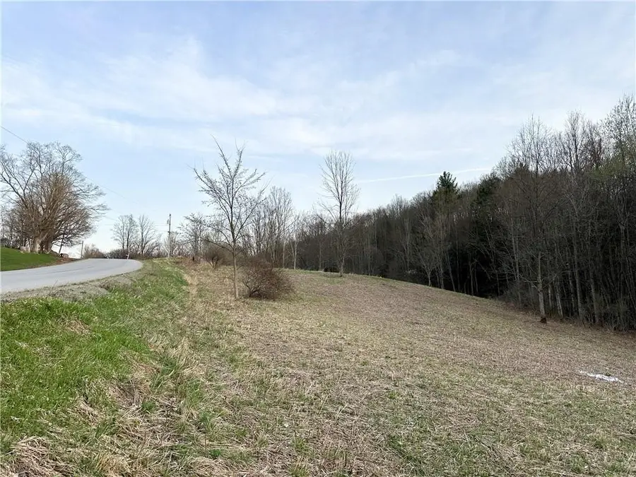 Lot 10 Brennan Road, Addison, NY 14801 - #3