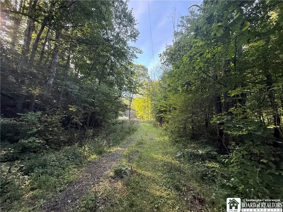 12283 Northeast Road, Conewango Valley, NY 14726 - #2