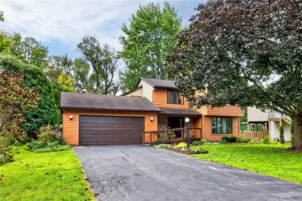 8 Loyalist Avenue, Rochester, NY 14624