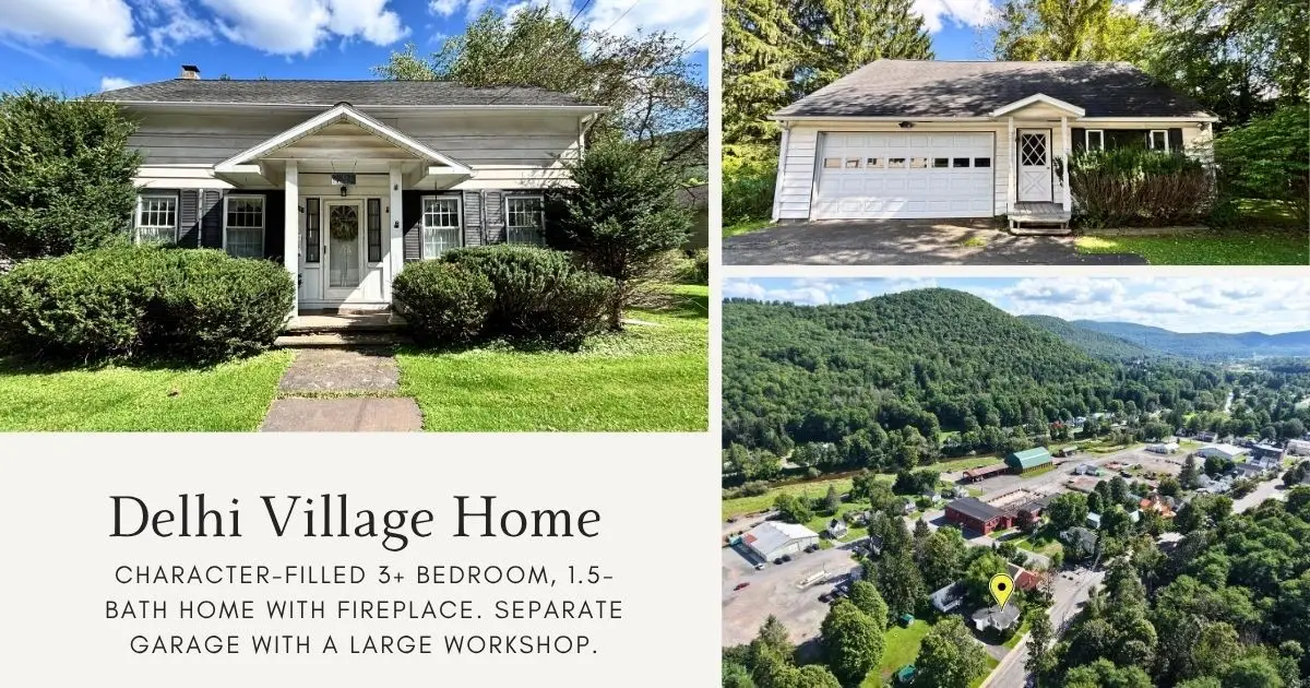 193 Main Street, Delhi, NY 13753 - #1