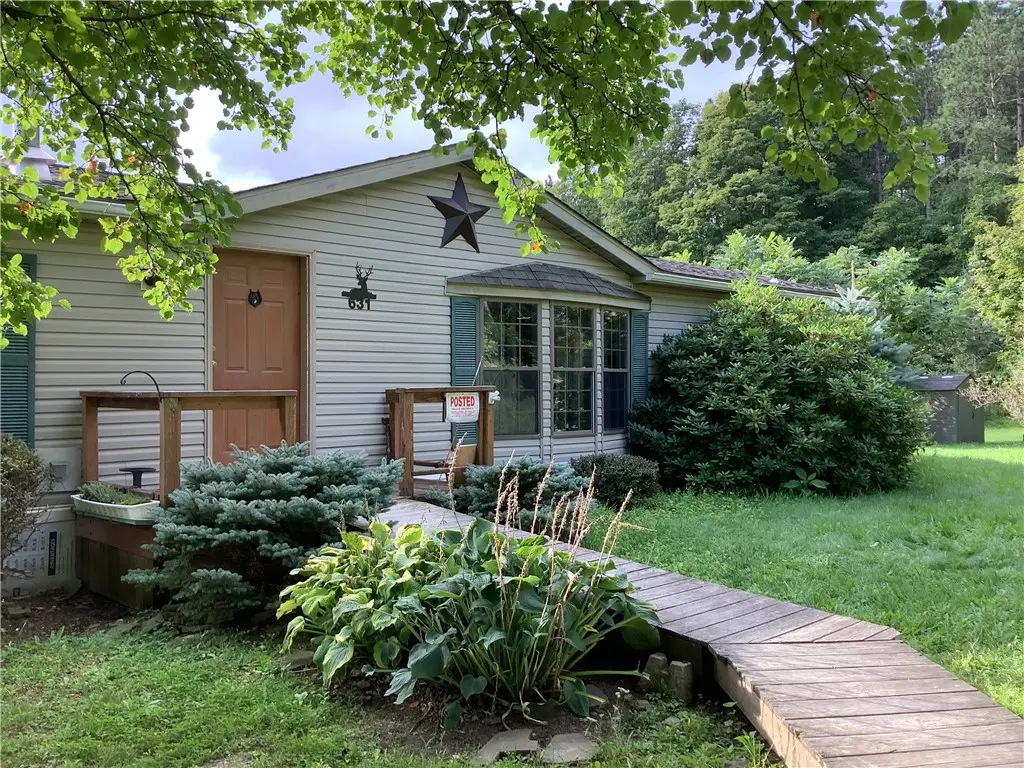 631 Park Hill Road, Erin, NY 14838 - #1