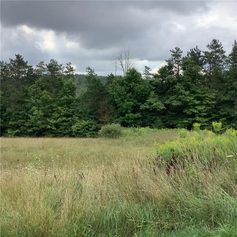 631 Park Hill Road, Erin, NY 14838 - #3