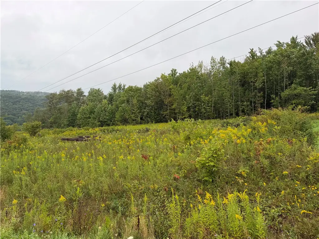 Adams Road, Harford, NY 13784 - #1