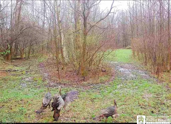Route 430, Findley Lake, NY 14736
