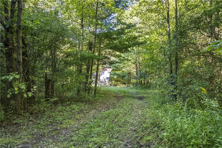 Lot 21 Kipp Lane, Prattsburgh, NY 14873 - #2