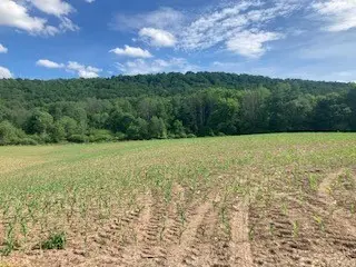 River Road, Mount Upton, NY 13809 - #3