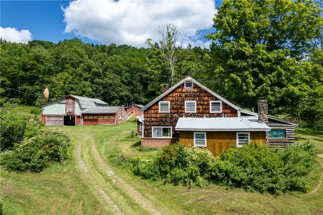 1563 Upper Perch Lake Road, Andes, NY 13731 - #1