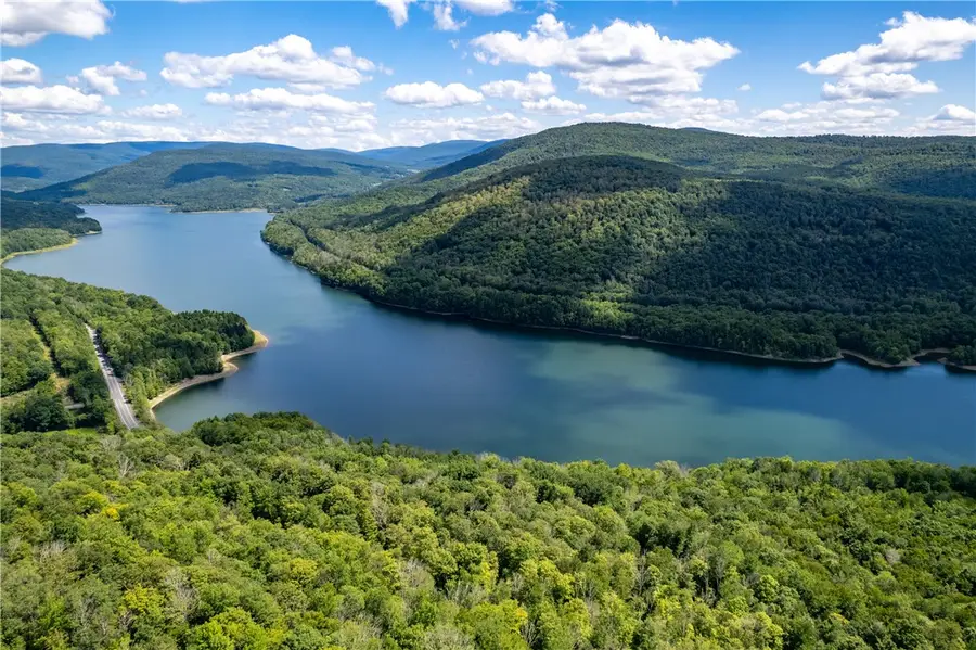 1563 Upper Perch Lake Road, Andes, NY 13731 - #2
