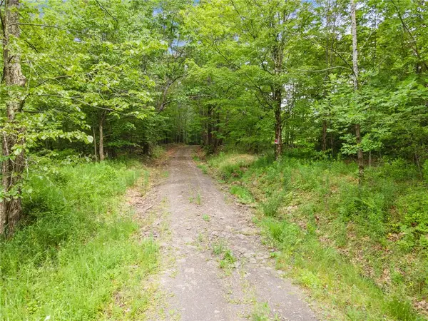 Address Withheld By Seller, Middleburgh, NY 12122