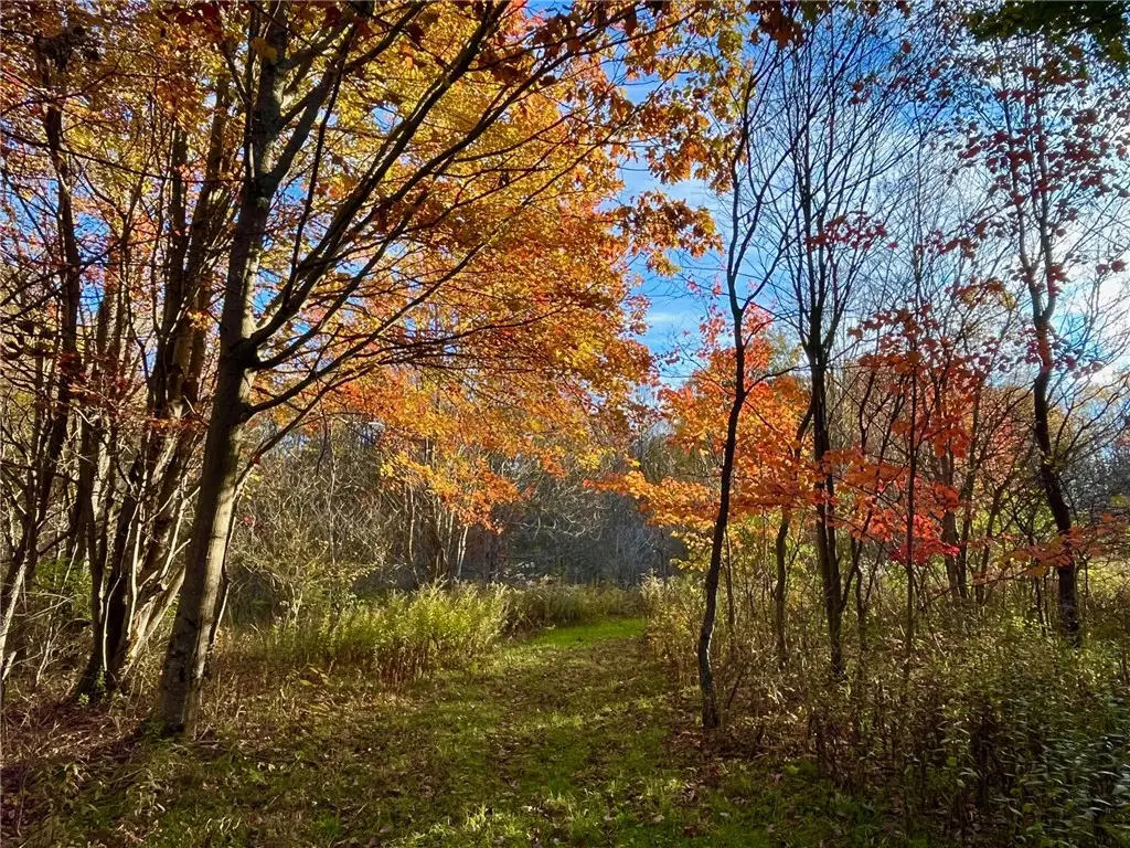 Nys Route 98, Franklinville, NY 14737 - #1